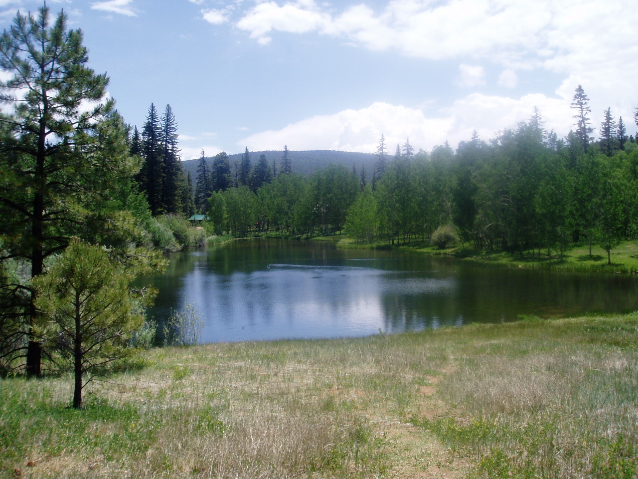 A peaceful pond surrounded by trees and mountains under a partly cloudy sky.
