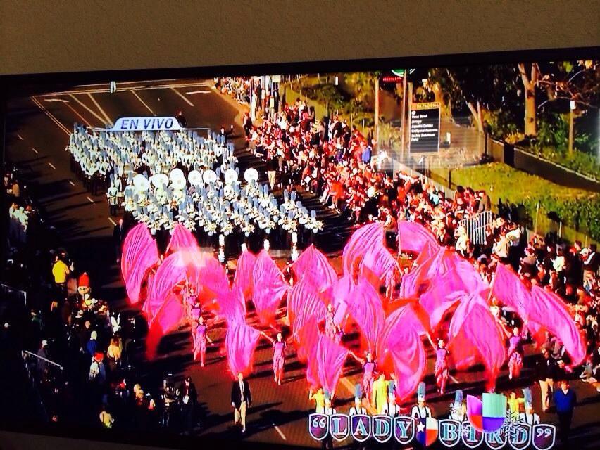 Marching band performing with vibrant pink flags under streetlights at night.